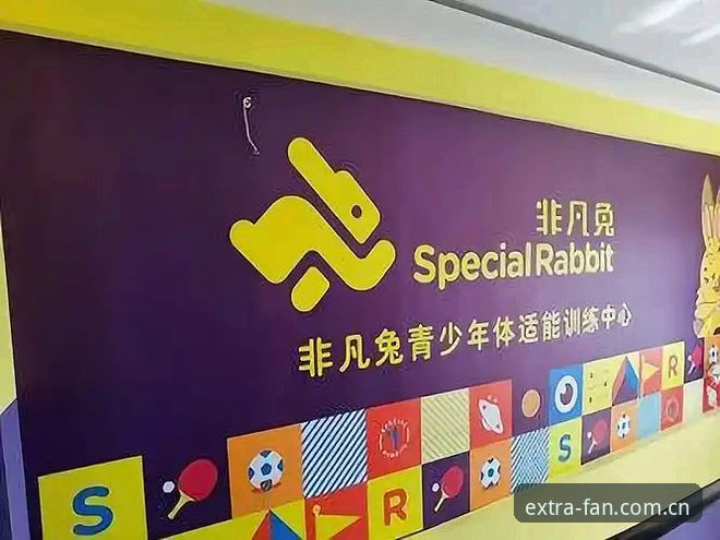 非凡体育安装包获取的5个关键步骤与3大核心优势