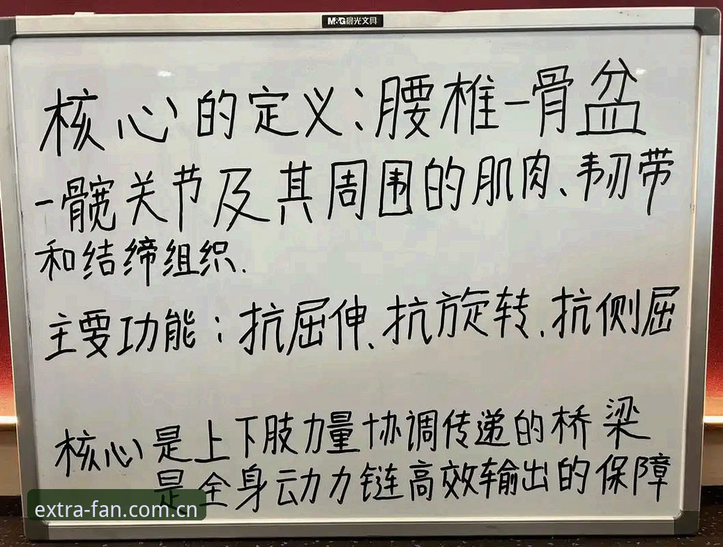 资深用户林婉清分享：非凡体育启程之旅的实战体验与创新心得